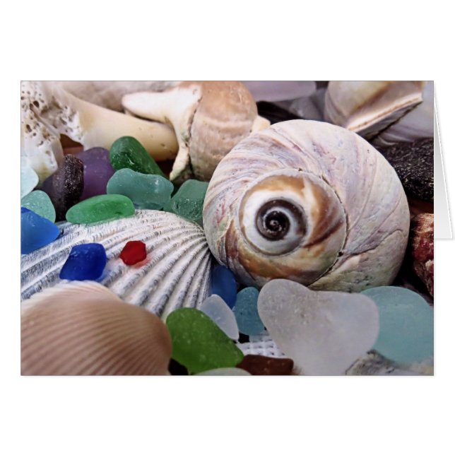 Muscheln und Meerglas (Vorderseite (Horizontal))