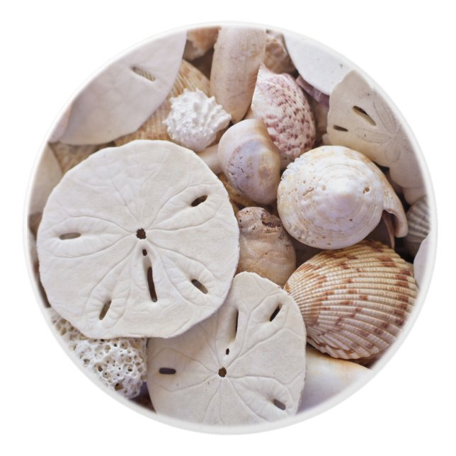 Muscheln und Sand-Dollar Keramikknauf (Vorderseite)