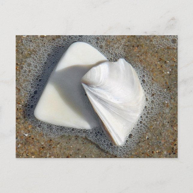 Muscheln und Sand Postkarte (Vorderseite)