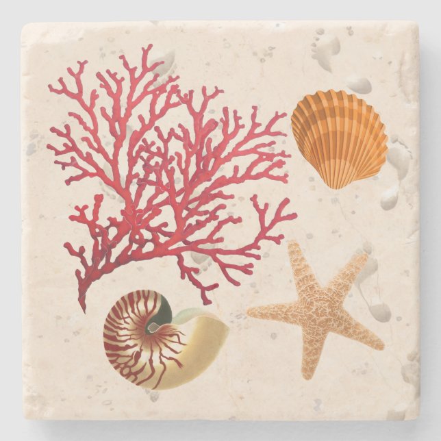 Muscheln und Sandstein Untersetzer (Vorderseite)