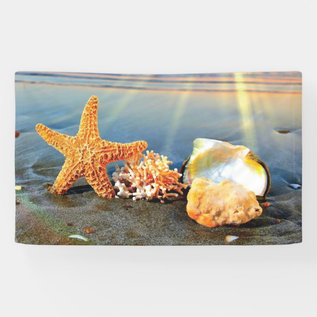 Muscheln und Seestern am Strand Banner (Horizontal)