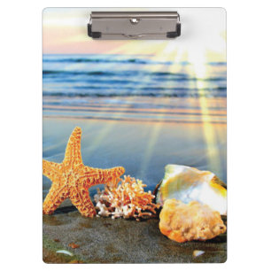 Muscheln und Seestern am Strand Klemmbrett