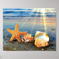 Muscheln und Seestern am Strand