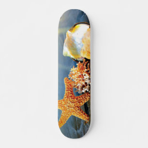 Muscheln und Seestern am Strand Skateboard