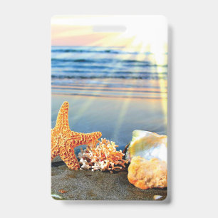 Muscheln und Seesterne am Strand Ausweis