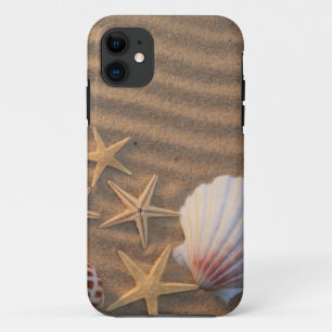 Muscheln und Starfish iPhone 11 Hülle