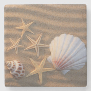 Muscheln und Starfish Steinuntersetzer
