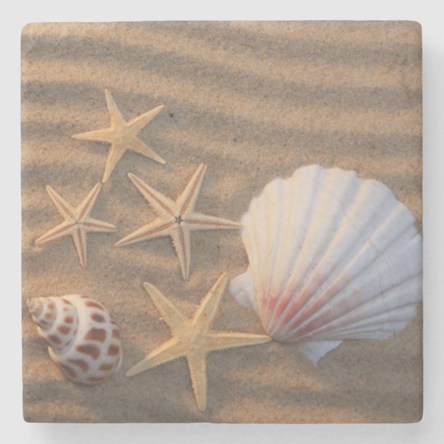 Muscheln und Starfish Steinuntersetzer (Vorderseite)