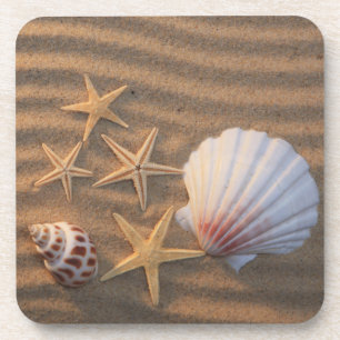 Muscheln und Starfish Untersetzer