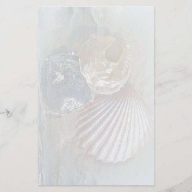 Muscheln und Surfen Briefpapier (Vorderseite)