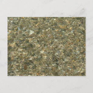 Muscheln unter plätscherndem Wasser Postkarte