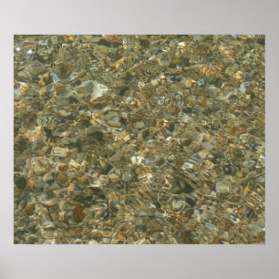 Muscheln unter Wasser Poster