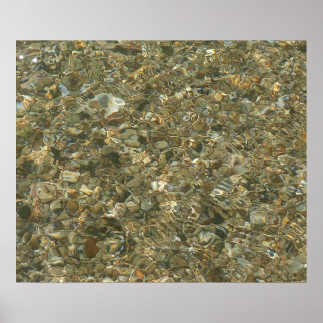 Muscheln unter Wasser Poster (Vorne)