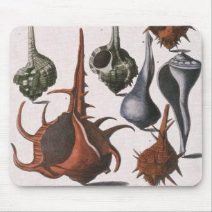 Muscheln, Vintage-Muscheln, Meeresleben Mousepad