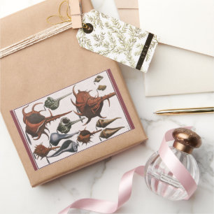 Muscheln, Vintage-Muscheln, Meeresleben Rechteckiger Aufkleber