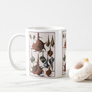 Muscheln, Vintage-Muscheln, Ozean-Meeresleben Kaffeetasse