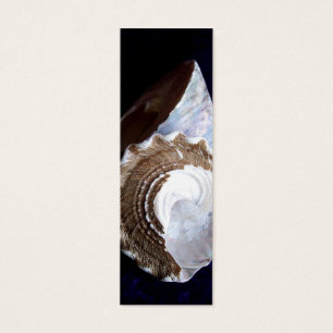 Muscheln Visitenkarte oder Lesezeichen