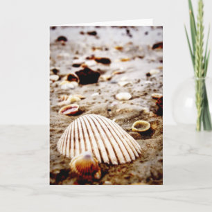 Muscheln zur Krabi Beach Card Karte