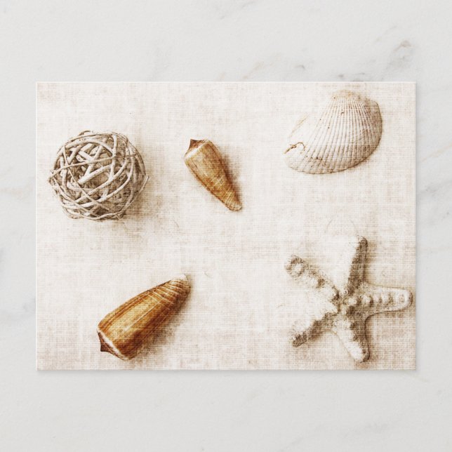 Muschelpostkarte Postkarte (Vorderseite)