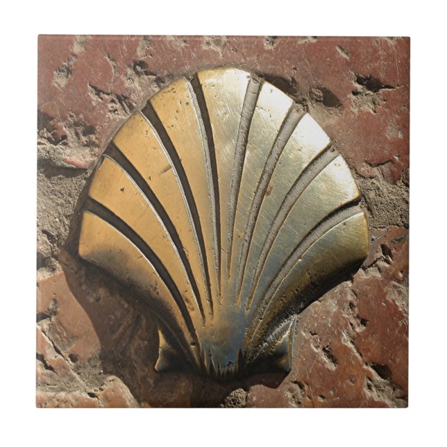 Muschelzeichen Goldel Camino, Plasterung, Leon, Fliese (Vorderseite)