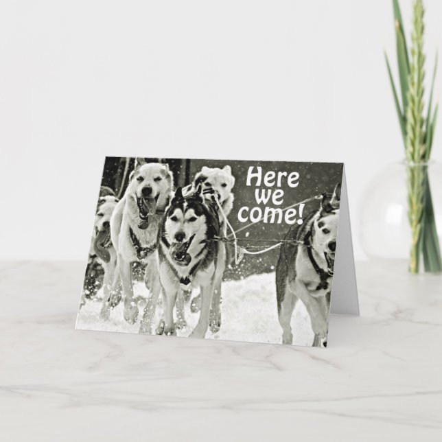 MUSCHER SAGEN HIER, WIR KOMMEN BROTHER AUF IHREM B KARTE (Vorderseite)