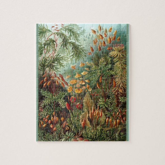 Muscinae - Ernst Haeckel 8x10 Puzzle (Vertikal)