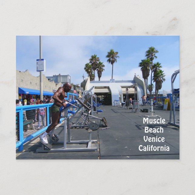 Muscle Beach Venice Postcard! Postkarte (Vorderseite)