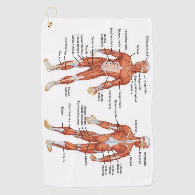 Muscle Diagram medgifts101 Golfhandtuch (Vorderseite)