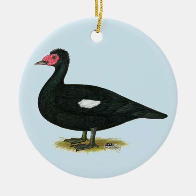 Muscovy Black Drake Keramikornament (Vorne)