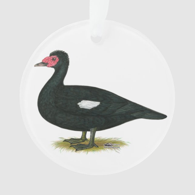 Muscovy Black Drake Ornament (Vorderseite)