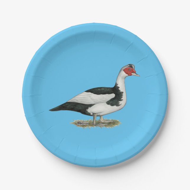 Muscovy Black Pied Drake Pappteller (Vorderseite)