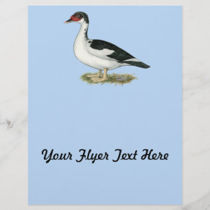 Muscovy Black Pied Duck Flyer