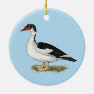 Muscovy Black Pied Duck Keramik Ornament