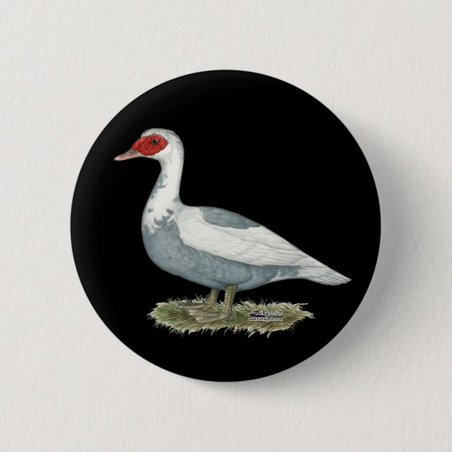 Muscovy Blue Pied Duck Button (Vorderseite)