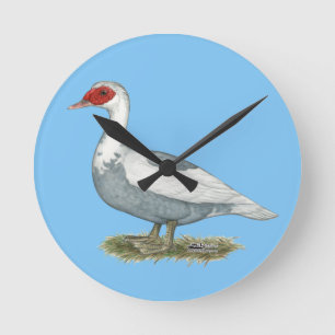 Muscovy Blue Pied Duck Runde Wanduhr