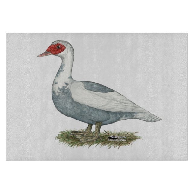 Muscovy Blue Pied Duck Schneidebrett (Vorderseite)