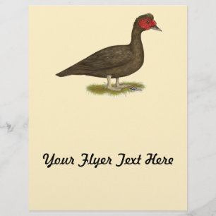 Muscovy Drake Chocolate Flyer