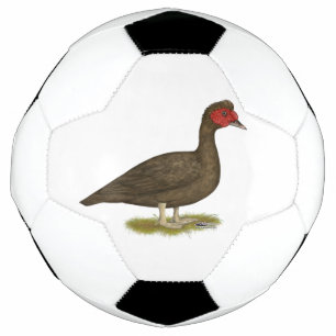 Muscovy Drake Chocolate Fußball