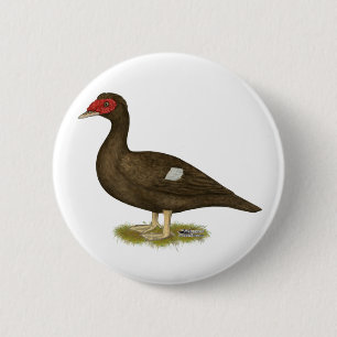 Muscovy Duck Chocolate Button