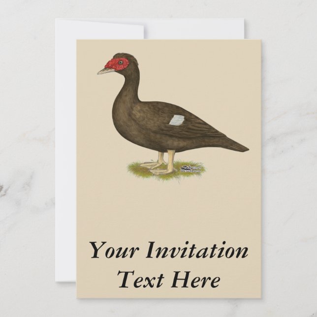 Muscovy Duck Chocolate Einladung (Vorderseite)