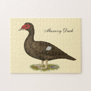 Muscovy Duck Chocolate Puzzle