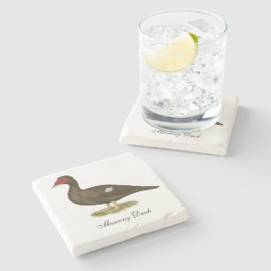 Muscovy Duck Chocolate Steinuntersetzer