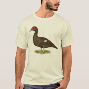 Muscovy Duck Chocolate T-Shirt