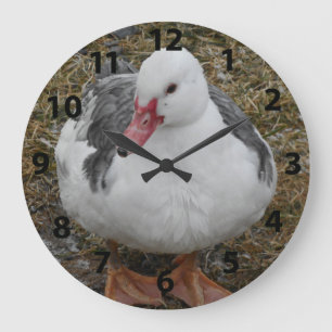 Muscovy Duck Clock Große Wanduhr