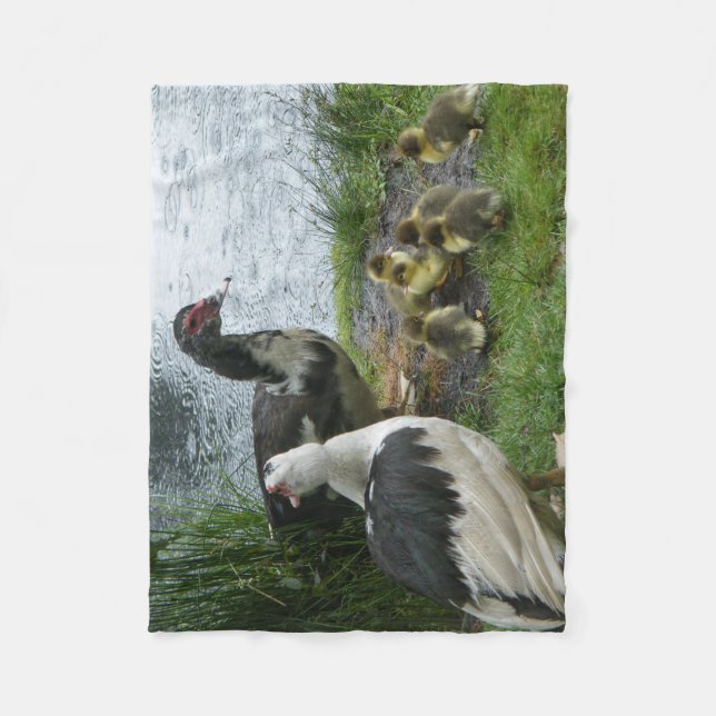Muscovy Duck Familie in Regen Fleece Blanket (Vorderseite)