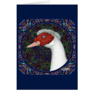 Muscovy Duck Head White