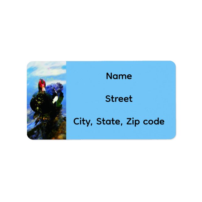 Muscovy Duck Return Address Label Adressaufkleber (Vorne)