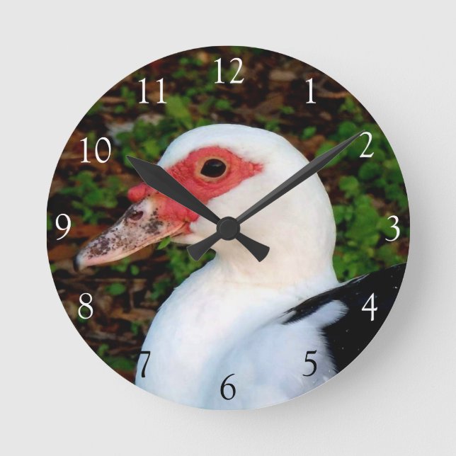 Muscovy Duck Round Clock Runde Wanduhr (Vorderseite)