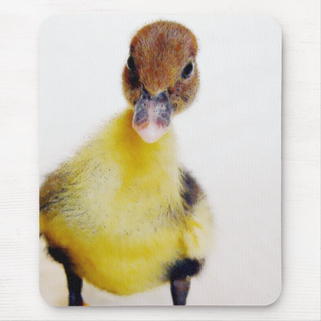 Muscovy Duckling Mousepad (Vorne)