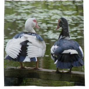 Muscovy-Enten Duschvorhang